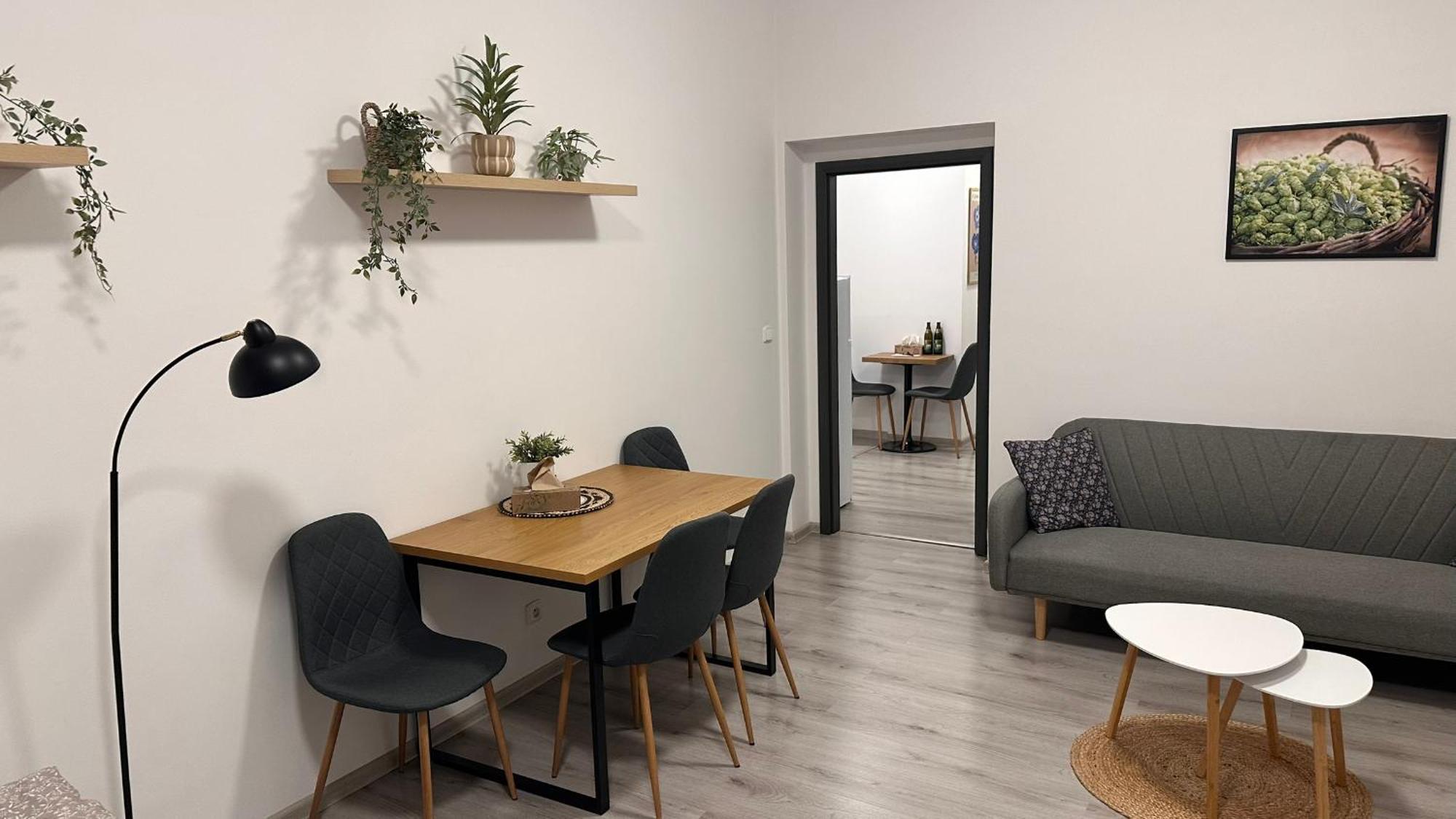Apartmany Na Trojce 扎泰克 外观 照片